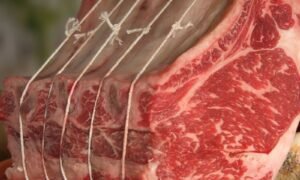 Côte De Bœuf