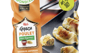 Isla mondial - Gyoza poulet 600g